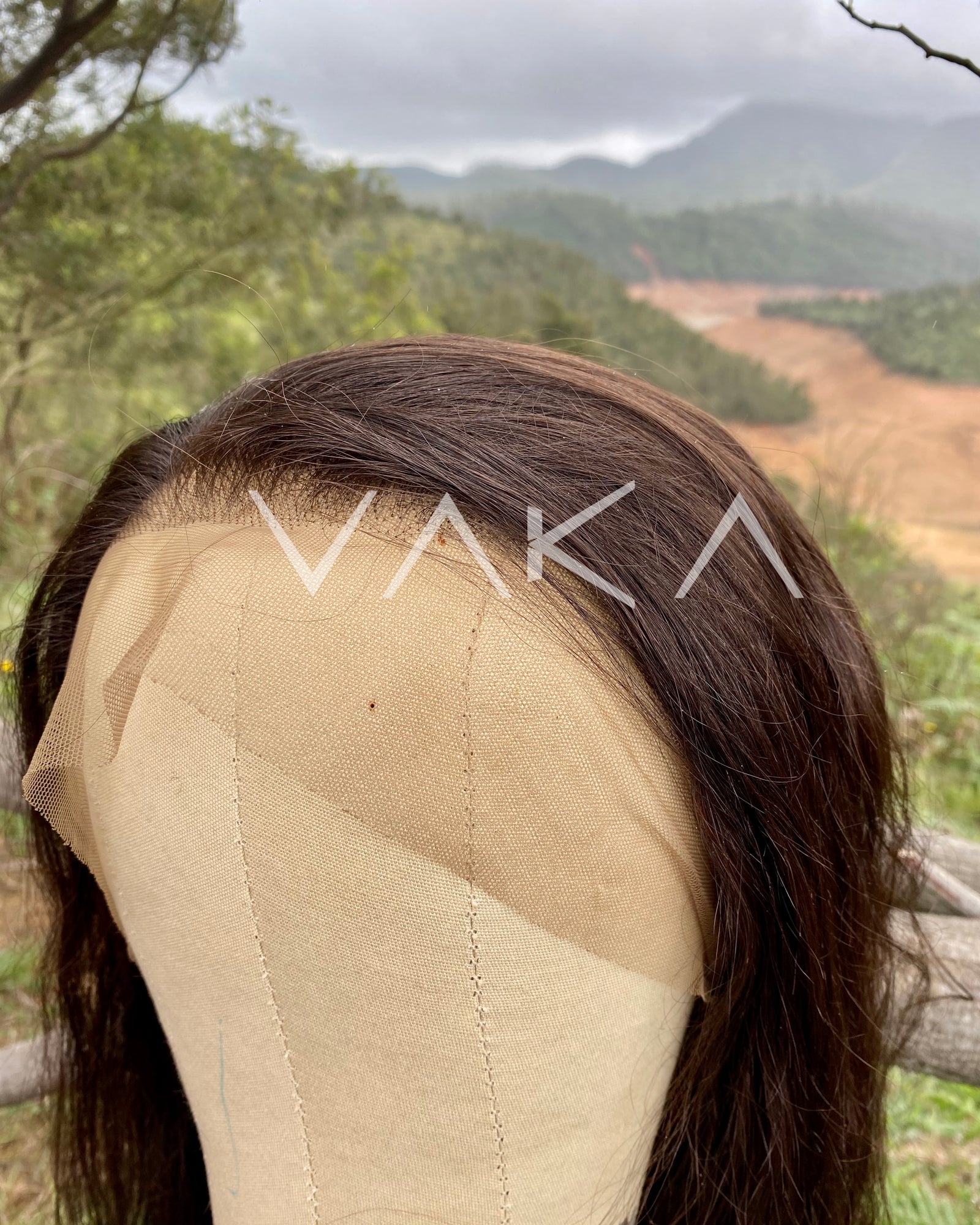 Human Hair Wigs
